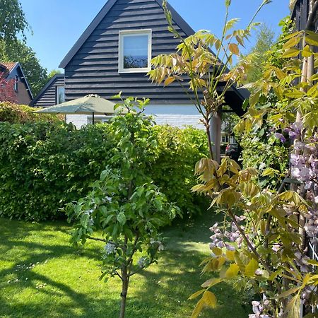 Tiny House De Oude Berg Villa Bergen Exterior photo